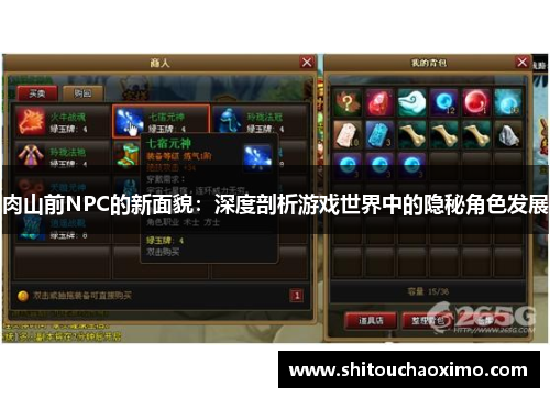 肉山前NPC的新面貌：深度剖析游戏世界中的隐秘角色发展