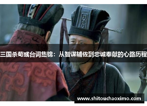 三国杀荀彧台词集锦：从智谋辅佐到忠诚奉献的心路历程