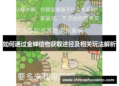 如何通过金蝉信物获取途径及相关玩法解析