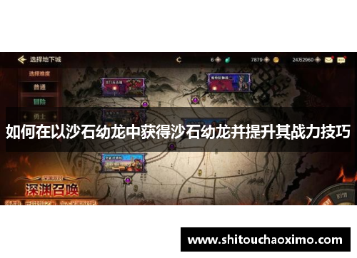 如何在以沙石幼龙中获得沙石幼龙并提升其战力技巧